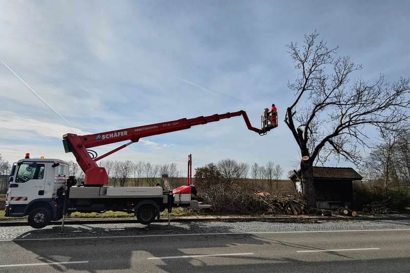Ein Arbeitsfahrzeug mit einem Kranarm steht an einer Straße. Zwei Arbeiter befinden sich in der Luft, während sie an einem Baum arbeiten, der möglicherweise beschnitten wird. Im Hintergrund sind kahle Bäume und eine einfache Holzstruktur zu sehen.