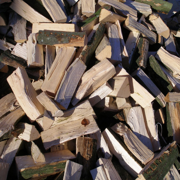 Bereichsbild für Seite: Four columns with text