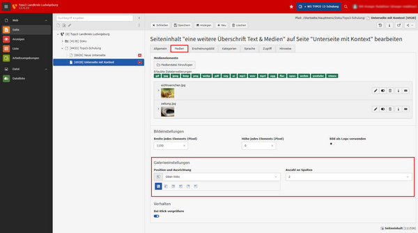 Screenshot einer Benutzeroberfläche zur Bearbeitung von Seiteninhalten mit den Optionen für Bildbeschreibungen und Galerieeinstellungen. In der Mitte sind Eingabefelder für Titel und Anordnung von Bildern zu sehen. Die Bearbeitungsumgebung ist grafisch strukturiert.