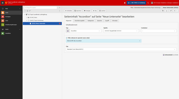 Der Screenshot zeigt eine Benutzeroberfläche zur Bearbeitung von Inhaltsabschnitten auf einer Webseite. Der Reiter „Accordion“ ist ausgewählt, und es gibt Felder zur Eingabe des Titels und Typs des Inhalts. Die Struktur ist einfach und organisiert.