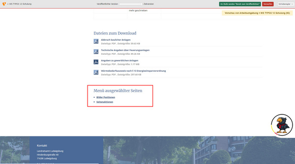 Page de téléchargement avec des fichiers disponibles : un flyer, un guide pour l'export et un document intitulé "Merkblatt SP". Les tailles de fichiers sont respectivement de 305 Ko et 36 Ko. Menus supplémentaires : "Allgemeines" et "Links".