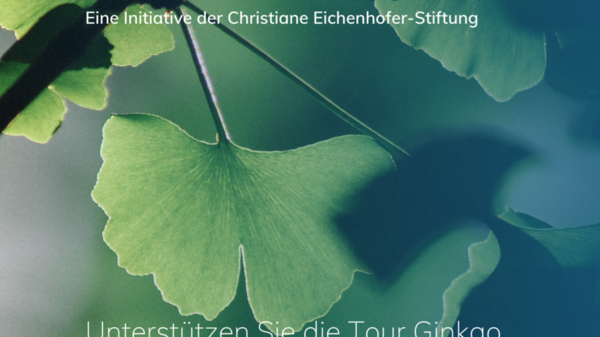 Das Bild zeigt eine Werbung für einen Ginkgo-Baumverkauf. Es wird zur Unterstützung der Initiative aufgerufen, indem man für Aufwind e.V. spendet. Der Verkauf findet am Donnerstag, den 07. Juli, von 11 bis 14 Uhr in der Eingangshalle im Kreishaus statt.