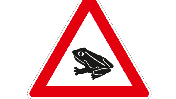 Teaserbild für Crapauds, grenouilles et salamandres de nouveau en migration