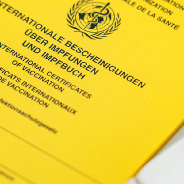 Bereichsbild für Seite: Gelbfieberimpfstelle, reisemedizinische Beratungen und Impfungen