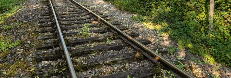 Header Bild: Ein stiller Bahngleisabschnitt führt durch dichte, grüne Bäume. Auf der rechten Seite stehen zwei Schilder, die auf Bahnübergänge hinweisen. Die Umgebung wirkt friedlich und unberührt, während die Gleise in die Ferne verlaufen.