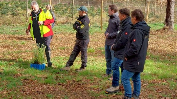 Eine Gruppe von fünf Personen steht im Wald. Ein Mann in leuchtender Kleidung erklärt etwas, während die anderen aufmerksam zuhören. Vor ihnen steht eine Kiste mit kleinen Pflanzen. Die Szene vermittelt eine Atmosphäre des Lernens über Aufforstung oder Naturschutz.