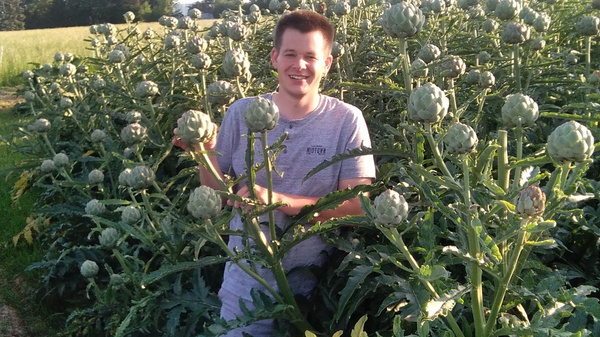 A person stands in a field of green artichoke plants, smiling and holding a handful of artichokes. The setting is bright and sunny, with trees and power lines visible in the background.