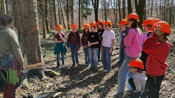 Eine Gruppe von Jugendlichen und Erwachsenen mit orangenen Schutzhelmen steht im Wald. Sie beobachten aufmerksam eine Person, die mit einer Kettensäge an einem Baum arbeitet. Der Boden ist mit Laub bedeckt, und die Umgebung besteht aus hohen Bäumen.