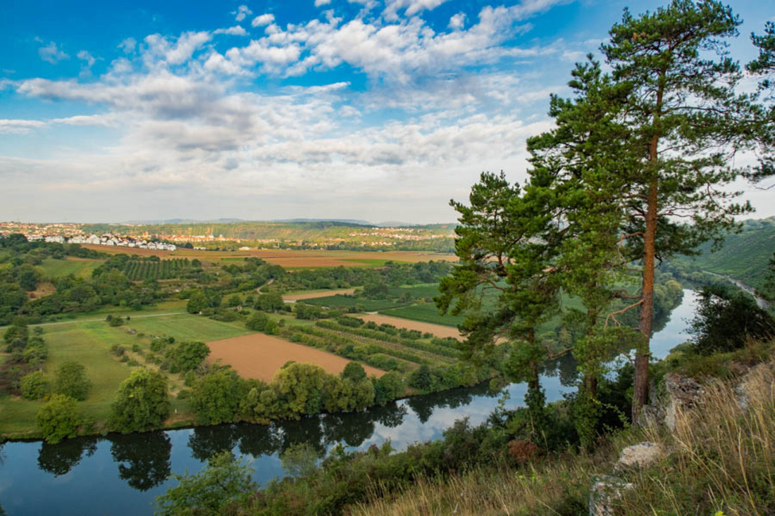 Ein weitläufiger Blick über eine grüne Landschaft mit Wiesen und Bäumen, neben einem ruhigen Fluss. Im Hintergrund sind sanfte Hügel und ein klarer Himmel mit wenigen Wolken zu sehen. Einige landwirtschaftlich genutzte Flächen sind ebenfalls sichtbar.