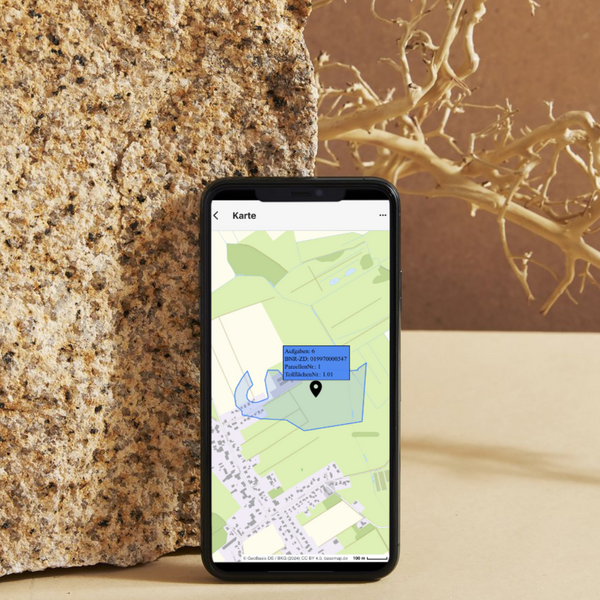 Online-Veranstaltung: Pflanzenarten per App dokumentieren