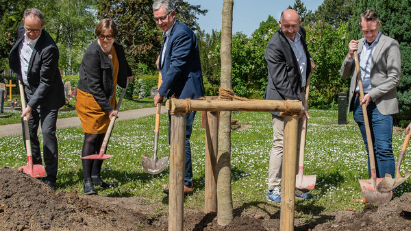 Eine Gruppe von acht Personen pflanzt gemeinsam einen Baum in einem grünen Park. Sie halten Schaufeln und arbeiten an der Erdung des Baumes. Die Szene vermittelt ein Gefühl von Gemeinschaft und Engagement für die Umwelt.