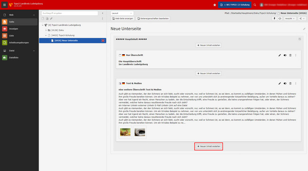 Ein Bildschirm zeigt eine Benutzeroberfläche zur Erstellung einer neuen Unterseite. Auf der linken Seite ist eine Navigationsleiste mit Optionen sichtbar. Im Hauptbereich sind Eingabefelder für Titel und Text einer Unterseite sowie ein Button „Neue Unterseite erstellen“ in rot.
