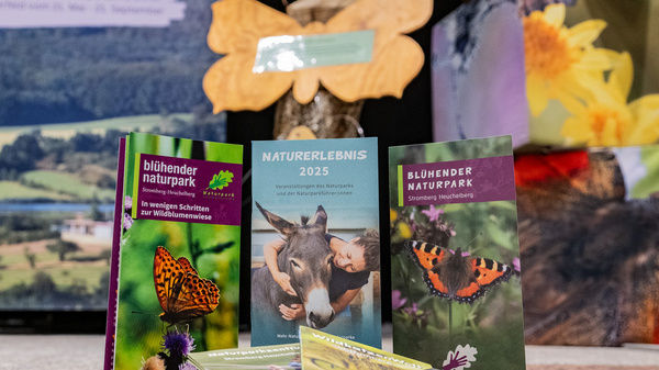 Auf dem Bild sind mehrere Informationsbroschüren über einen Naturpark zu sehen, die auf einem Tisch liegen. Im Hintergrund befindet sich ein dekoratives Element in Form eines Schmetterlings, sowie ein Plakat mit dem Titel „Schutzende Schmetterlinge – Schmetterlinge in der Natur“.
