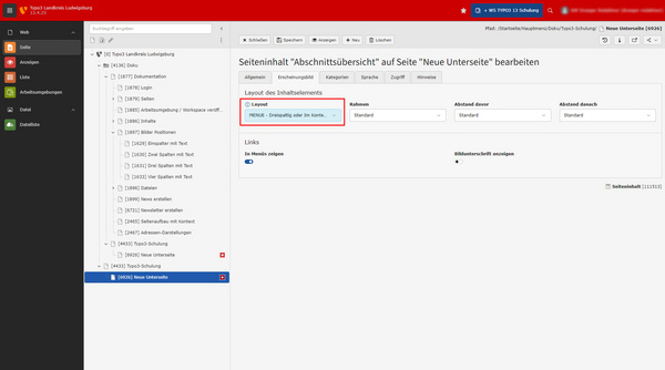 L'image montre un interface de logiciel avec des options de mise en page et d'éditing. À gauche, un menu affiche différentes sections, tandis qu'à droite, le contenu principal se concentre sur la modification des paramètres de présentation d'une page intitulée "Dringen notwendig".