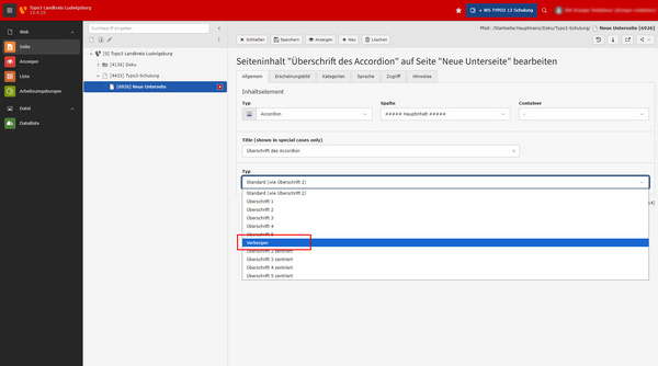 Das Bild zeigt eine Benutzeroberfläche zum Bearbeiten von Seiteneinheiten. Es enthält ein Feld zur Auswahl eines Typs mit einer Dropdown-Liste, in der verschiedene Optionen aufgelistet sind, darunter "Standard Ein Dokument ID" und "Verzeichnis". Ein Projektname ist ebenfalls sichtbar.