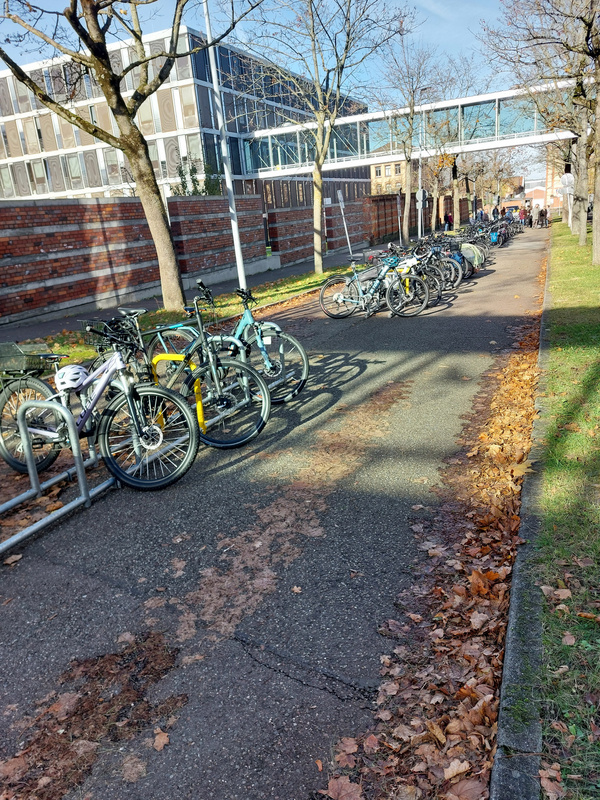 An einer Straße stehen mehrere Fahrräder an einem Fahrradständer, umgeben von Herbstlaub. Im Hintergrund sind Bäume und ein Neubau sichtbar, sowie ein Gehweg, der weiterführt. Die Szene vermittelt eine ruhige, städtische Atmosphäre.