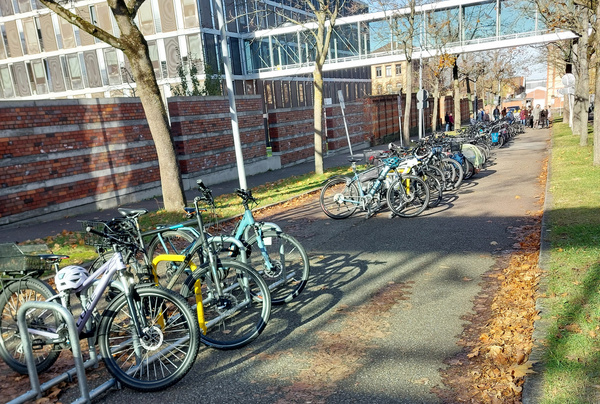 An einer Straße stehen mehrere Fahrräder an einem Fahrradständer, umgeben von Herbstlaub. Im Hintergrund sind Bäume und ein Neubau sichtbar, sowie ein Gehweg, der weiterführt. Die Szene vermittelt eine ruhige, städtische Atmosphäre. (Text KI generiert)
