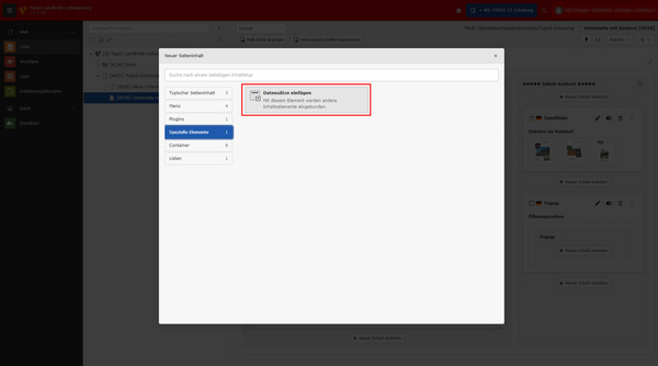 Das Bild zeigt ein Benutzerinterface mit einem Auswahlmenü. Der Bereich „Download-Einstellungen“ ist hervorgehoben und enthält die Option, die herunterzuladenden Elemente auszuwählen. Links sind verschiedene Kategorien und Optionen sichtbar.