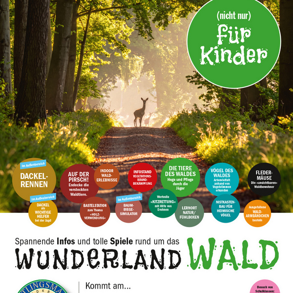Event Teaserbild: Thementag Wunderland Wald