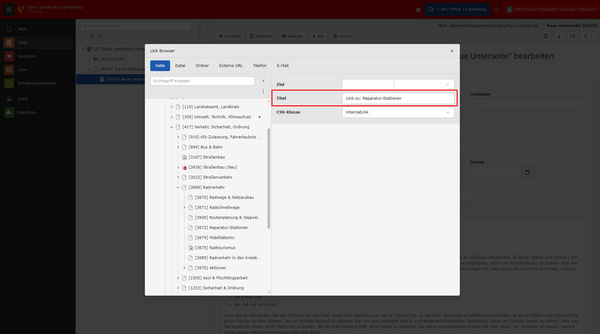 Das Bild zeigt ein Fenster des Link-Browsers in einer Website-Management-Software. Es enthält eine Hierarchie von Seiten mit Auswahlfeldern für Zielmaster, Titel und CSS-Klassen. Eine bestimmte Seite ist hervorgehoben und verweist auf Schulungsinhalte.