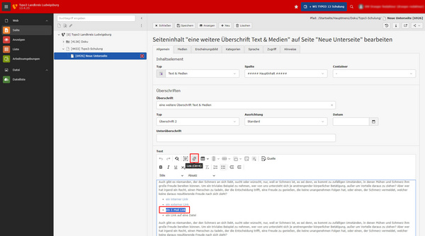 Ein Screenshot einer Webseite zeigt das Backend eines Content-Management-Systems. Links sind Menüoptionen wie „Seiten“ und „Dateien“ zu sehen. In der Mitte wird ein Text bearbeitet, der sich mit Schmerzen beschäftigt, und enthält Links zu weiteren Informationen.