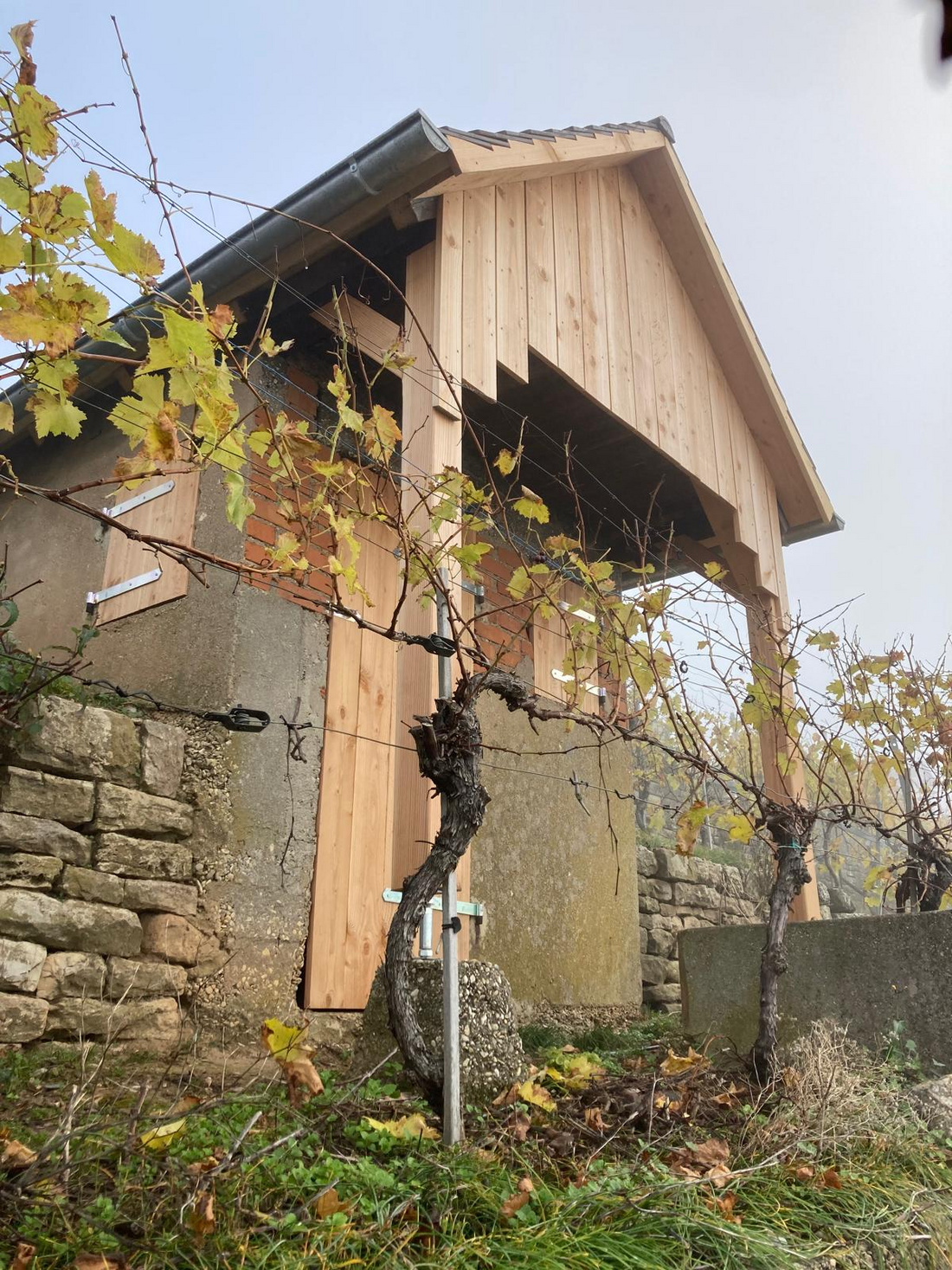 Ein kleines, hölzernes Gebäude mit einem schrägen Dach steht an einem Hang, umgeben von Weinreben, die herbstliche Blätter tragen. Die Wände bestehen aus Stein und Holz, der Himmel ist bewölkt, was eine ruhige, ländliche Atmosphäre schafft.