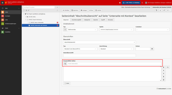 Das Bild zeigt eine Benutzeroberfläche einer Software zur Verwaltung von Inhalten. In der linken Seitenleiste sind verschiedene Kategorien und Seiten aufgeführt, während im Hauptbereich Felder für Überschrift, Typ, Link und Unterüberschrift sichtbar sind.