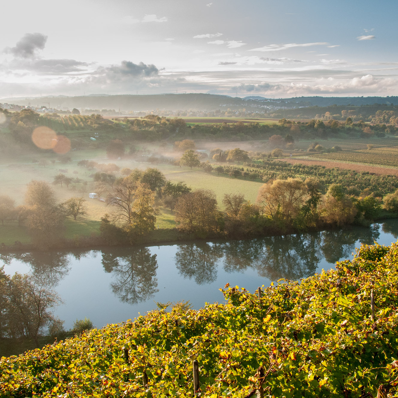 Immagine di un paesaggio rurale sereno, con vigneti verdi che si estendono su dolci colline. Un fiume riflette il cielo, mentre la nebbia al mattino avvolge dolcemente il tutto. Il panorama trasmette tranquillità e bellezza naturale.