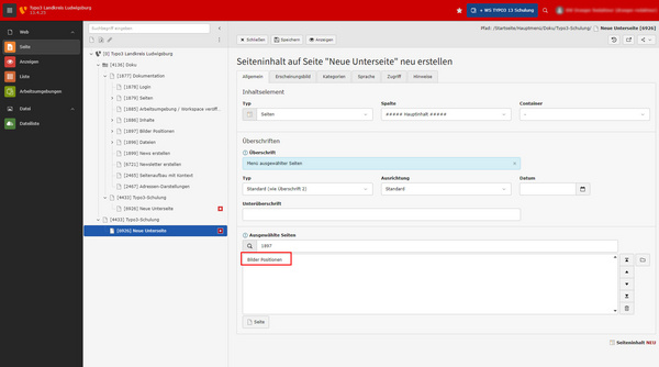 Interface d'administration montrant un menu sur la gauche avec des options de pages. À droite, un formulaire avec des champs pour le type, le lien et un texte descriptif. Le tout est organisé pour gérer les éléments d'un site web.