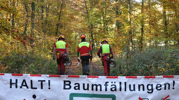 Zwei Personen in Warnwesten stehen vor einem Banner im Wald. Das Banner warnt vor Baumfällungen und verbietet den Durchgang. Es zeigt Symbole für Gefahr und ein Verbotsschild. Die Umgebung ist von herbstlichen Bäumen umgeben.