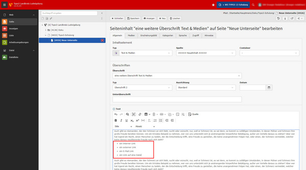 Das Bild zeigt eine Benutzeroberfläche von TYPO3, einem Content-Management-System. Es sind verschiedene Menüpunkte sichtbar, darunter Seiten, Dateien und Nachrichten, sowie ein Textfeld mit einer Überschrift und einem absatzweise gestalteten Text.