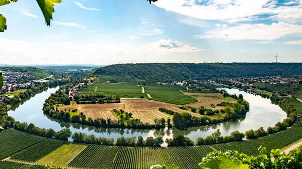 Vue panoramique d'une vallée viticole avec des vignes verdoyantes. Une rivière sinueuse traverse le paysage, entourée de champs et de collines. Le ciel est dégagé avec quelques nuages, créant une atmosphère paisible et naturelle.