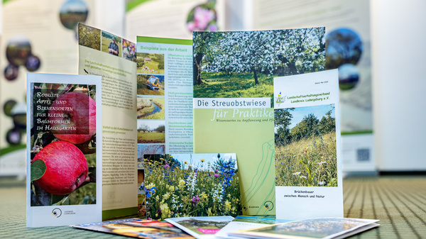 Ein Stapel von Informationsbroschüren über Streuobstwiesen liegt auf einem Tisch. Die Vorderseite einer Broschüre zeigt ein Bild eines blühenden Obstbaums und den Titel "Die Streuobstwiese für Praktiker." Weitere Broschüren thematisieren Obstbau und Biodiversität. (Text KI generiert)