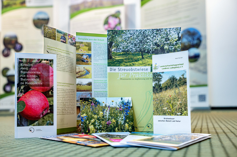 Ein Stapel von Informationsbroschüren über Streuobstwiesen liegt auf einem Tisch. Die Vorderseite einer Broschüre zeigt ein Bild eines blühenden Obstbaums und den Titel "Die Streuobstwiese für Praktiker." Weitere Broschüren thematisieren Obstbau und Biodiversität.