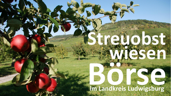 Werbebild der Streuobstwiesen-Börse Werbefoto: Am am linken Bildrand ist ein Apfelzweig mit grünen Blättern und roten Äpfeln zu sehen. Am rechten Bildrand sind in weißer Schrift die Worte Streuobstwiesen-Börse im Landkreis Ludwigsburg zu lesen. Im Hintergrund sieht man weitere Obstbäume sowie eine grüne Hügellandschaft.