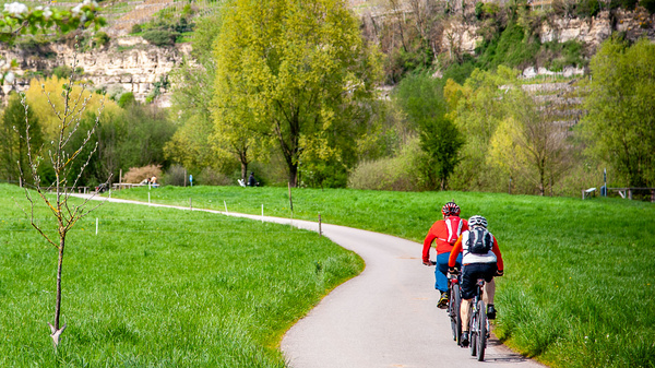 Two cyclists ride along a winding path through a vibrant green landscape. Lush trees and rolling hills are visible in the background, contributing to a serene outdoor setting. The scene captures a sunny day, perfect for biking and enjoying nature.