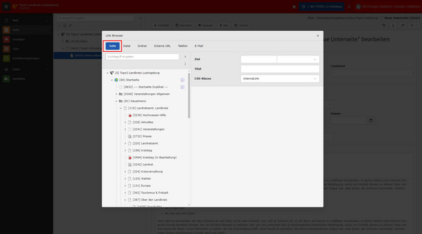 Ein Screenshot eines Link-Browsers in einem Content-Management-System zeigt Felder für die Eingabe von Zielseite, Titel und CSS-Klasse. Links im Seitenbaum sind strukturiert und listen verschiedene Elemente und Seiten auf, die bearbeitet werden können.