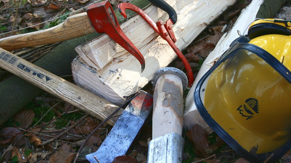 Image montrant divers outils de travail du bois, y compris une hache, une scie, et un casque de sécurité. Les outils sont disposés sur des bûches et des feuilles mortes, reflétant un environnement forestier ou de jardinage. L'accent est mis sur la préparation au travail en extérieur.