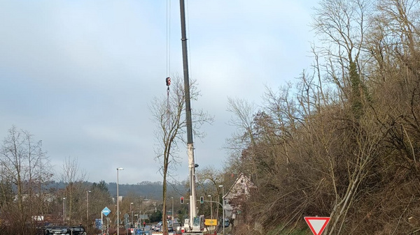 Auf der Straße wird ein Baum mit einem Kran gefällt. Ein Traktor steht in der Nähe. Im Hintergrund sind barren Bäume und ein paar Gebäude zu sehen. Die Verkehrszeichen weisen auf eine bevorstehende Gefahrenstelle hin.
