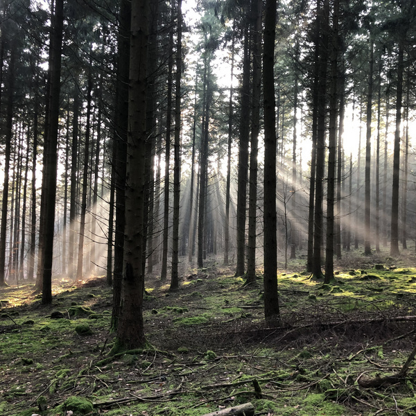 Bereichsbild für Seite: Two columns with text