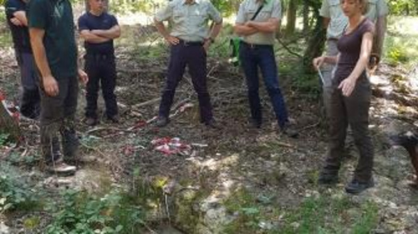 A group of six people stands in a forested area, observing a narrow ditch filled with muddy water. They appear to be discussing or examining the site closely, surrounded by trees and underbrush.