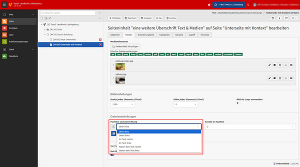 Screenshot eines Inhaltsbearbeitungsbereichs auf einer Website. Im Vordergrund ist ein Auswahlfeld mit verschiedenen Optionen angezeigt, darunter "Einen Text", zur Bearbeitung von Medieninhalten. Der Bereich zeigt auch eine Überschrift und Platz für Bilder an.