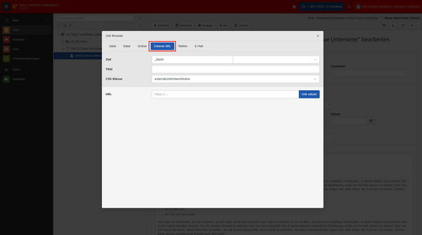 Ein Dialogfenster zum Erstellen von Links. Es zeigt Felder für den Zieltext, den Titel, eine CSS-Klasse und die URL. Titel und CSS-Klasse sind hervorgehoben, und es gibt eine Schaltfläche zum Setzen des Links.