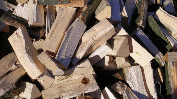 A close-up view of a pile of firewood logs in various sizes, predominantly light-colored with some pieces showing dark green bark. The stacked logs are randomly arranged, creating a textured and layered appearance.