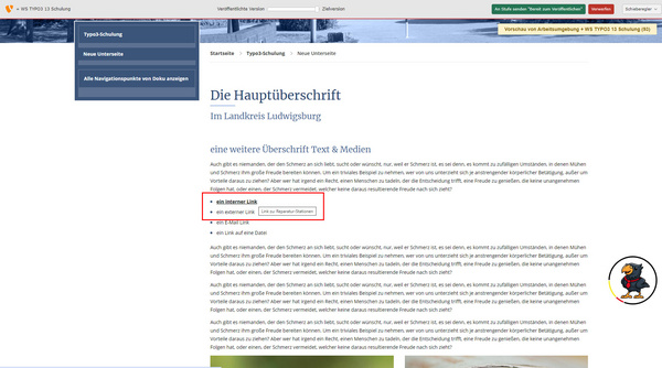 Die Abbildung zeigt eine Webseite mit der Hauptüberschrift „Die Hauptüberschrift im Landkreis Ludwigsburg“. Darunter befindet sich ein Textabschnitt mit Informationen. Ein zentraler roter Kasten hebt einen Link hervor, der auf weitere Informationen verweist.