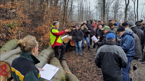 Eine Gruppe von Menschen steht im Wald neben umgeschnittenen Baumstämmen. Ein Mann in gelber Weste spricht und erklärt etwas, während die anderen Zuhörer mit Notizen in der Hand aufmerksam zuhören. Der Hintergrund zeigt kahle Bäume und einen winterlichen Wald.