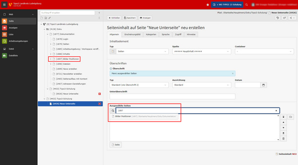 Interface utilisateur d'un logiciel de gestion de contenu. À gauche, un arbre de navigation avec différentes catégories, telles que "Pages" et "Fichiers". À droite, un formulaire montrant des options de configuration pour un lien de page, incluant un titre et une description.