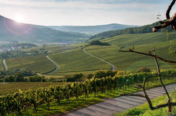 Stromberg / Foto: Landkreis Ludwigsburg, A. Würth Stromberg