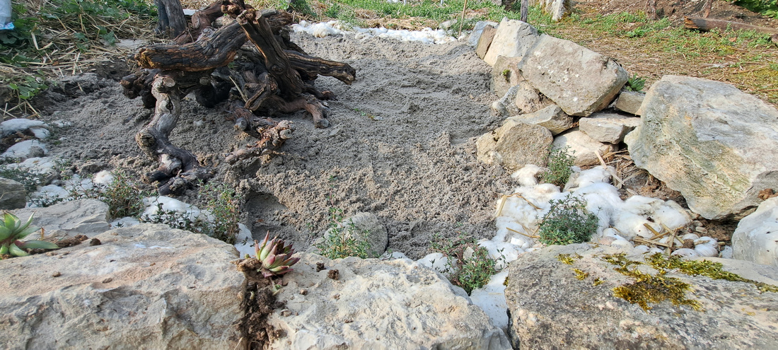 Ein brauner, sandiger Bereich umgeben von großen Steinen und einigen grünen Pflanzen. In der Mitte steht ein verwitterter Baumstamm. Die Umgebung wirkt natürlich und unberührt, mit verstreuten Steinen und etwas Moos.