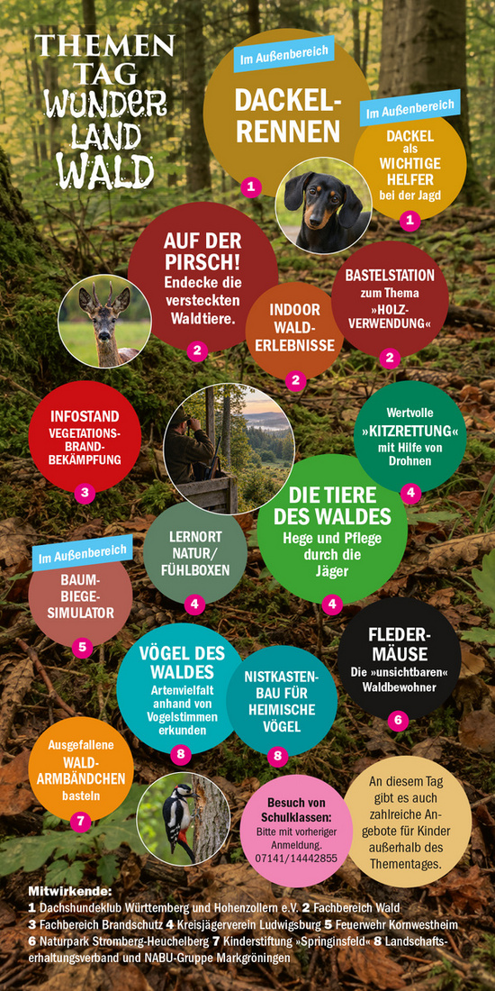 Das Bild zeigt eine Informationsgrafik über verschiedene Themen und Aktivitäten im Wald, darunter ein Dackelrennen, Besichtigungen, Wald-Erlebnisse, und lehrreiche Veranstaltungen über Tiere und Natur. Viele farbige Kreise strukturieren die Inhalte und heben wichtige Punkte hervor. (Text KI generiert)